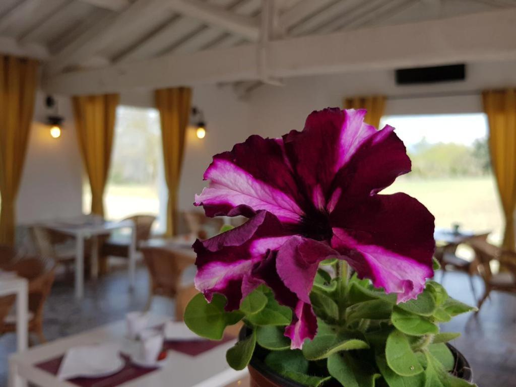 Hotel Valle Del Oja Casalarreina Bagian luar foto